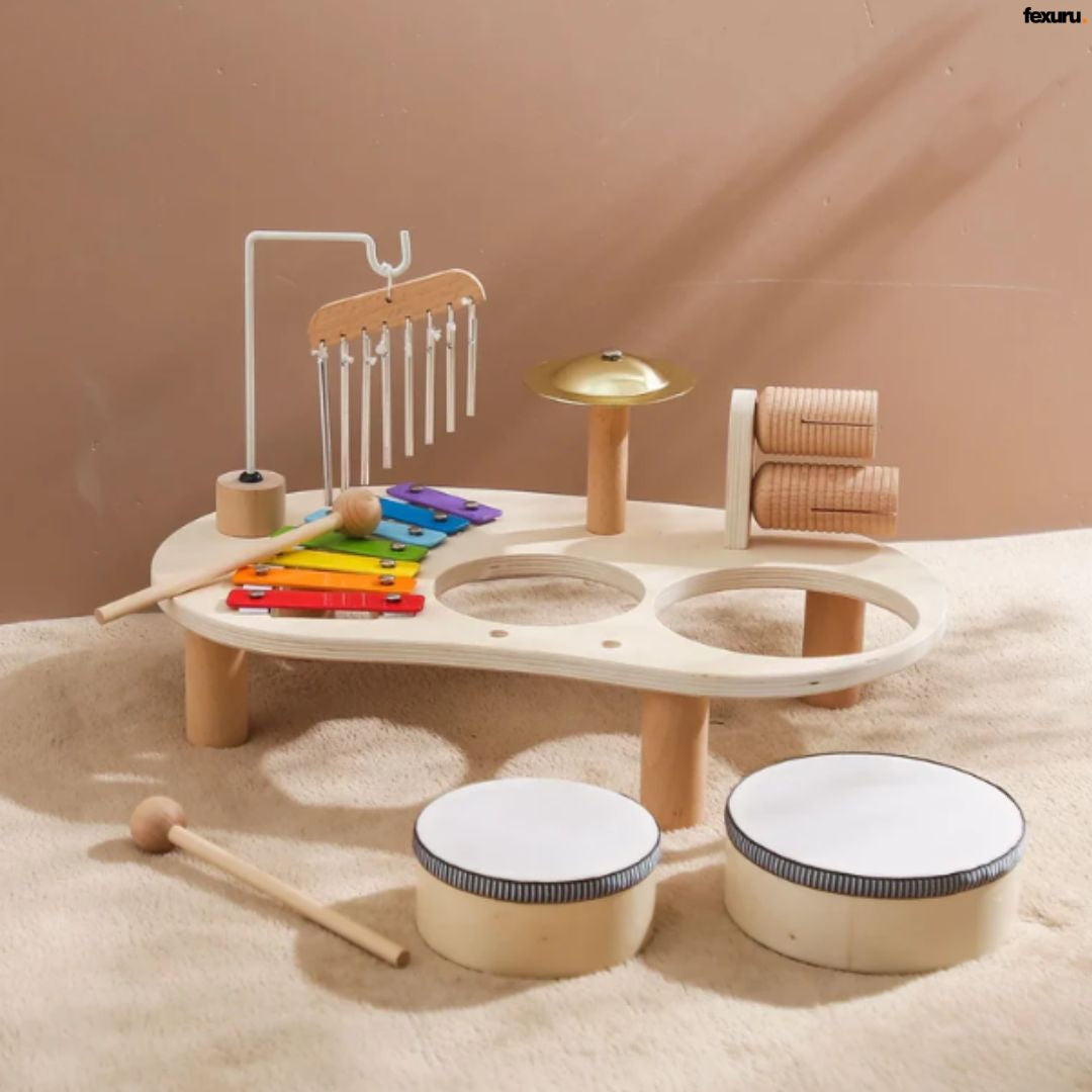 Montessori Musical Toy