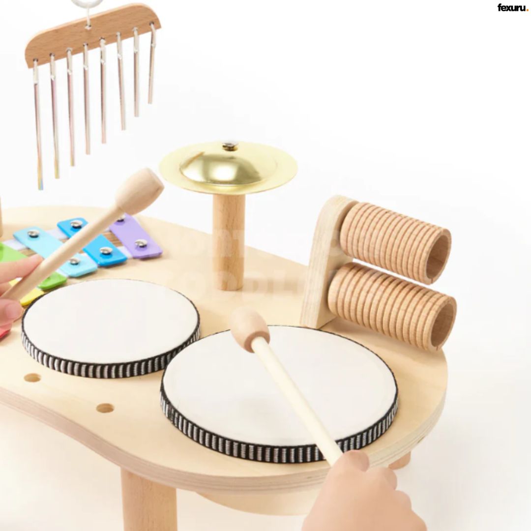 Montessori Musical Toy