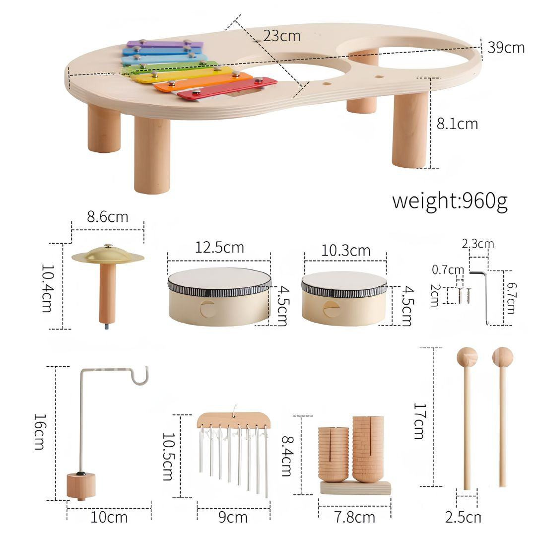 Montessori Musical Toy